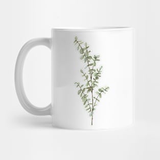 Baby Blue Eucalyptus Mug